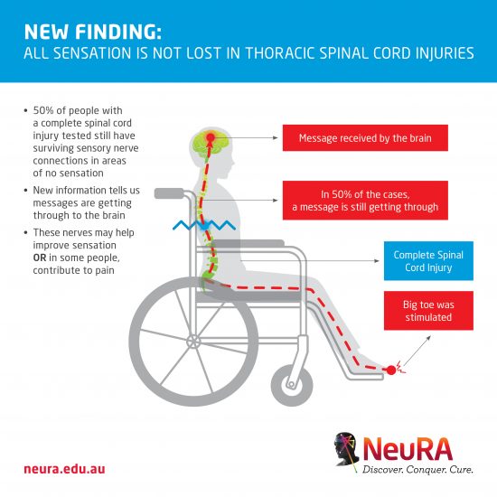 13546-nra-infography-thoracic-spinal-cord-injury-fa-the-neura-blog